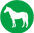 hevonen