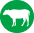 nauta